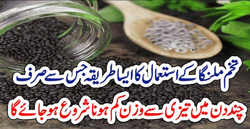 tukh malanga benefits in urdu