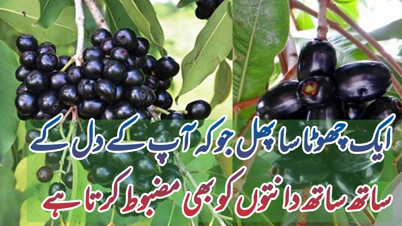 jamun khane ke fayde in urdu