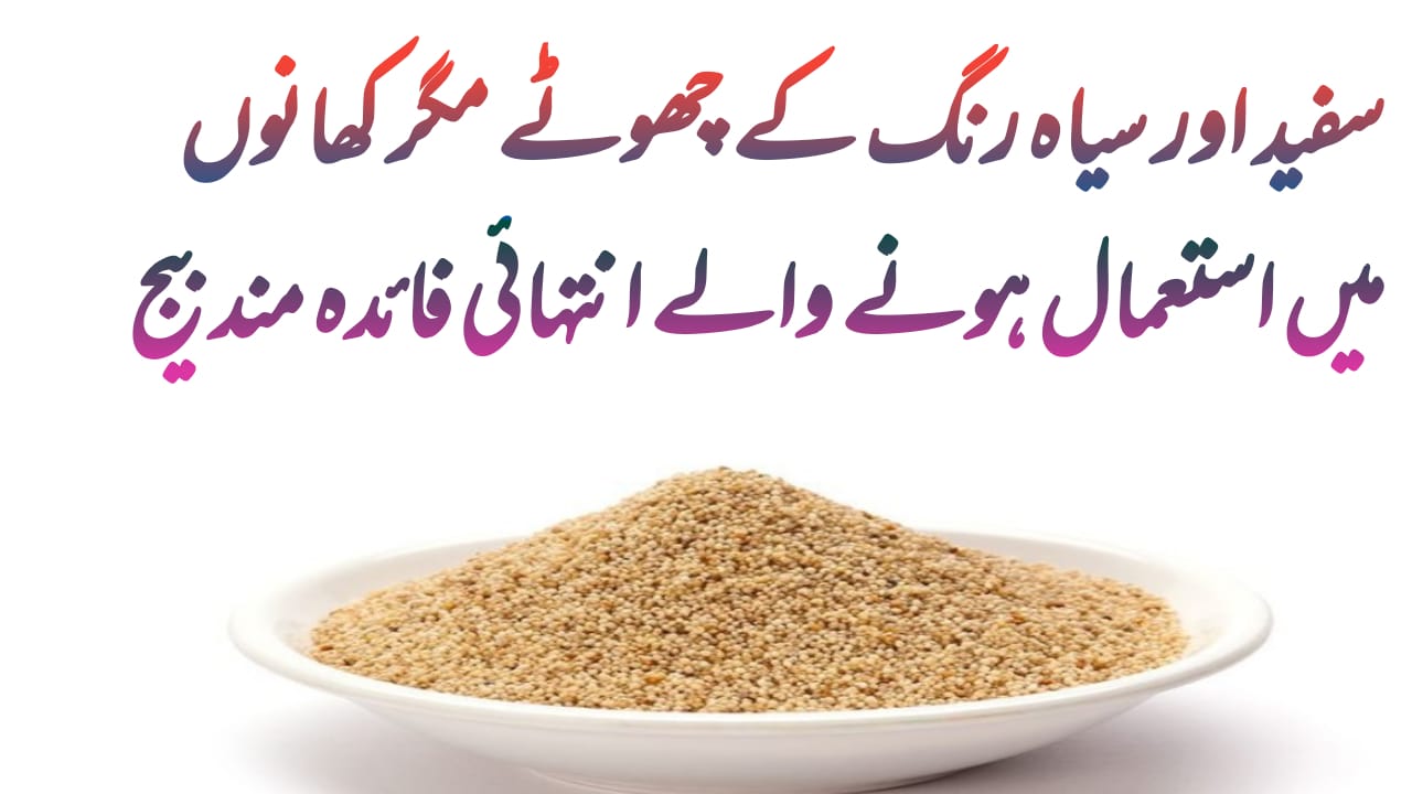 khashkhash benefits in urdu