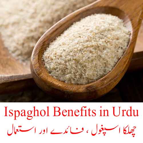 Ispaghol Benefits in Urdu