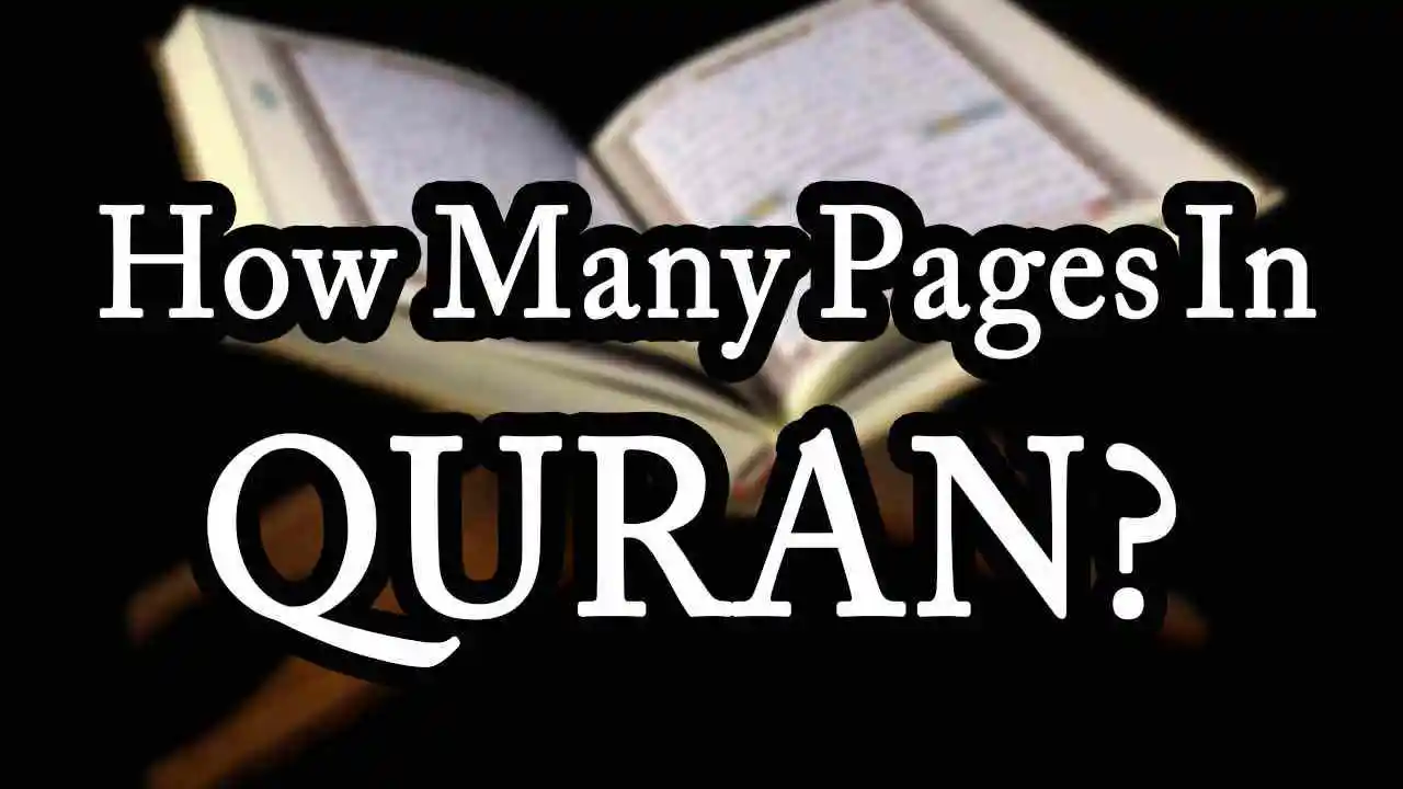 How many pages in Quran