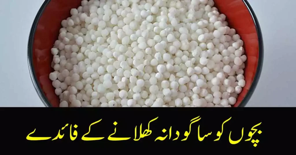 Sabudana Benefits in Urdu